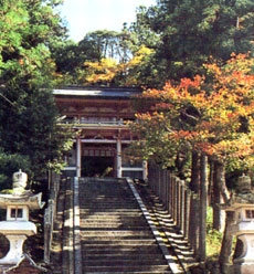 商売繁盛・縁結びの金刀比羅神社